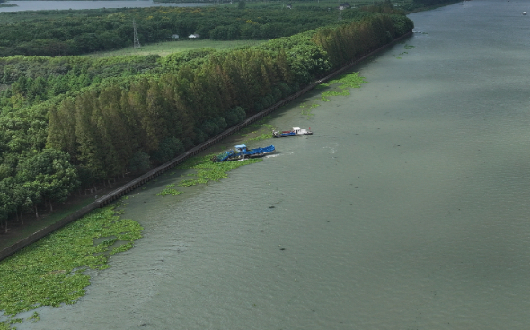 顶级选手与, 艘次