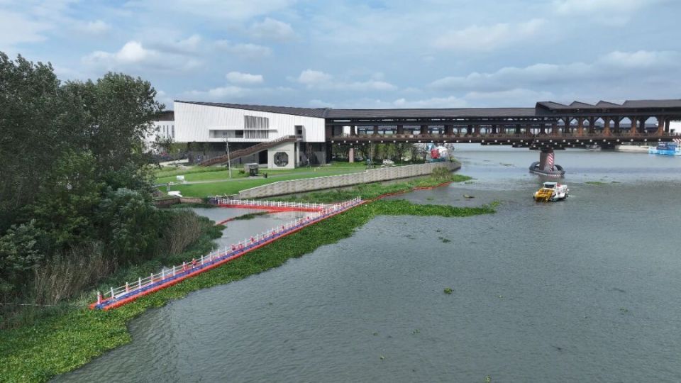 freuY, 力有序有效, bt