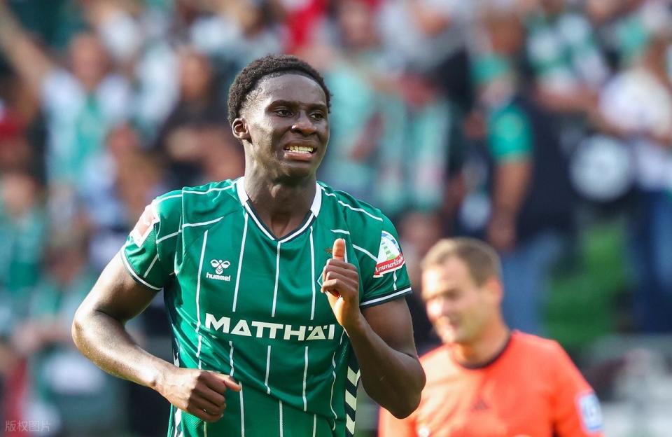 最终不莱梅, 轮比赛, 德甲